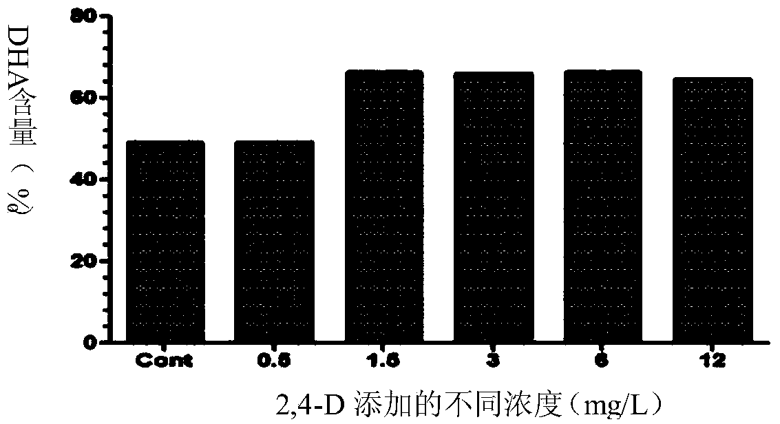 Application of 2,4-dichlorphenoxyacetic acid to yield improvement of DHA in schizochytrium limacinum and promotion of oil accumulation of schizochytrium limacinum