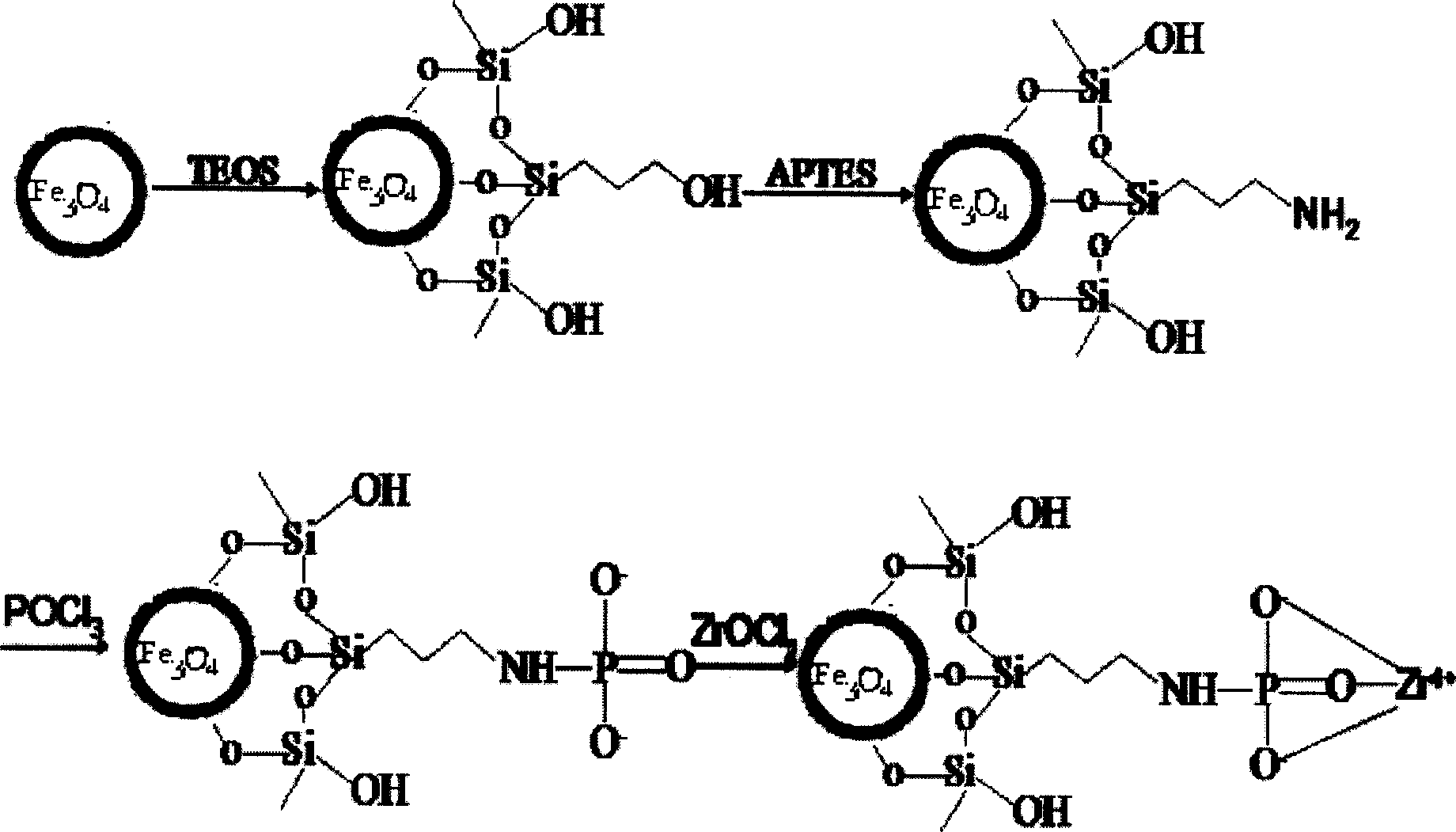 Zirconium phosphoester nano magnetic beads, as well as preparation and application thereof