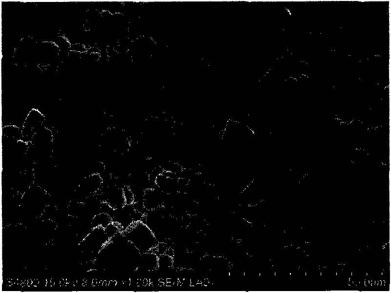 Preparation method for micron order superfine sodium chloride