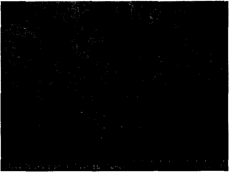 Preparation method for micron order superfine sodium chloride