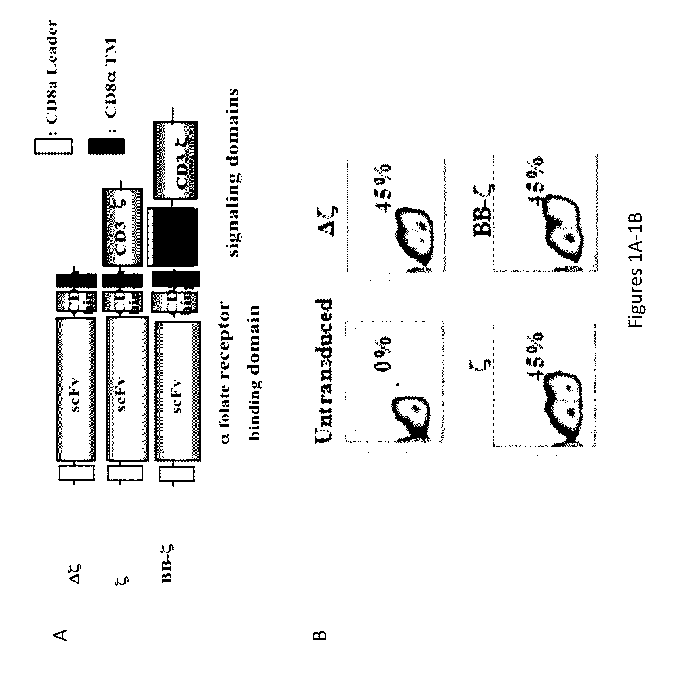 Compositions and Methods for Treating Cancer