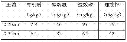 Sorghum special-purpose slow release fertilizer containing trace element and preparation method thereof