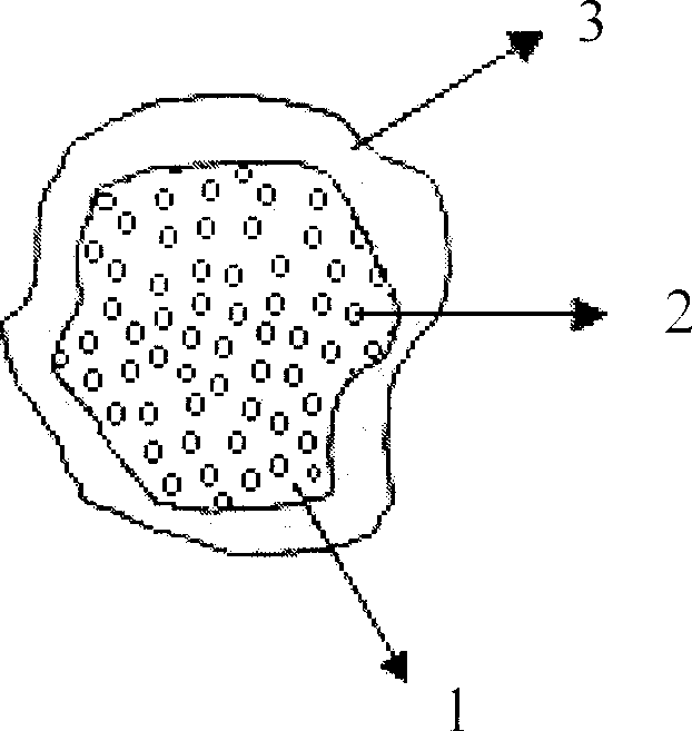 Bone tissue rack of TiO2 reinforced polyhydroxyethyl methacrylate and its prepn process