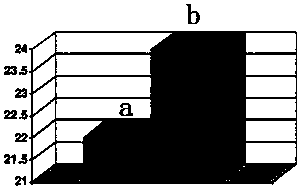 Composition with anti-acne effect and application thereof