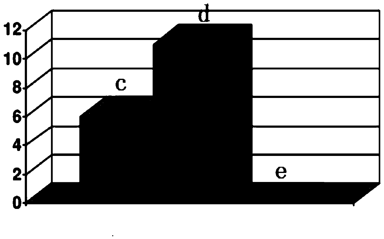 Composition with anti-acne effect and application thereof