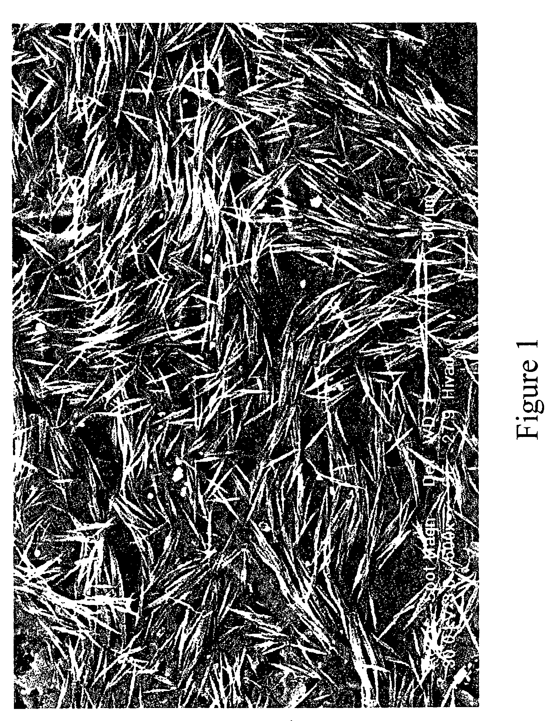 Single-wall carbon nanotube alewives, process for making, and compositions thereof