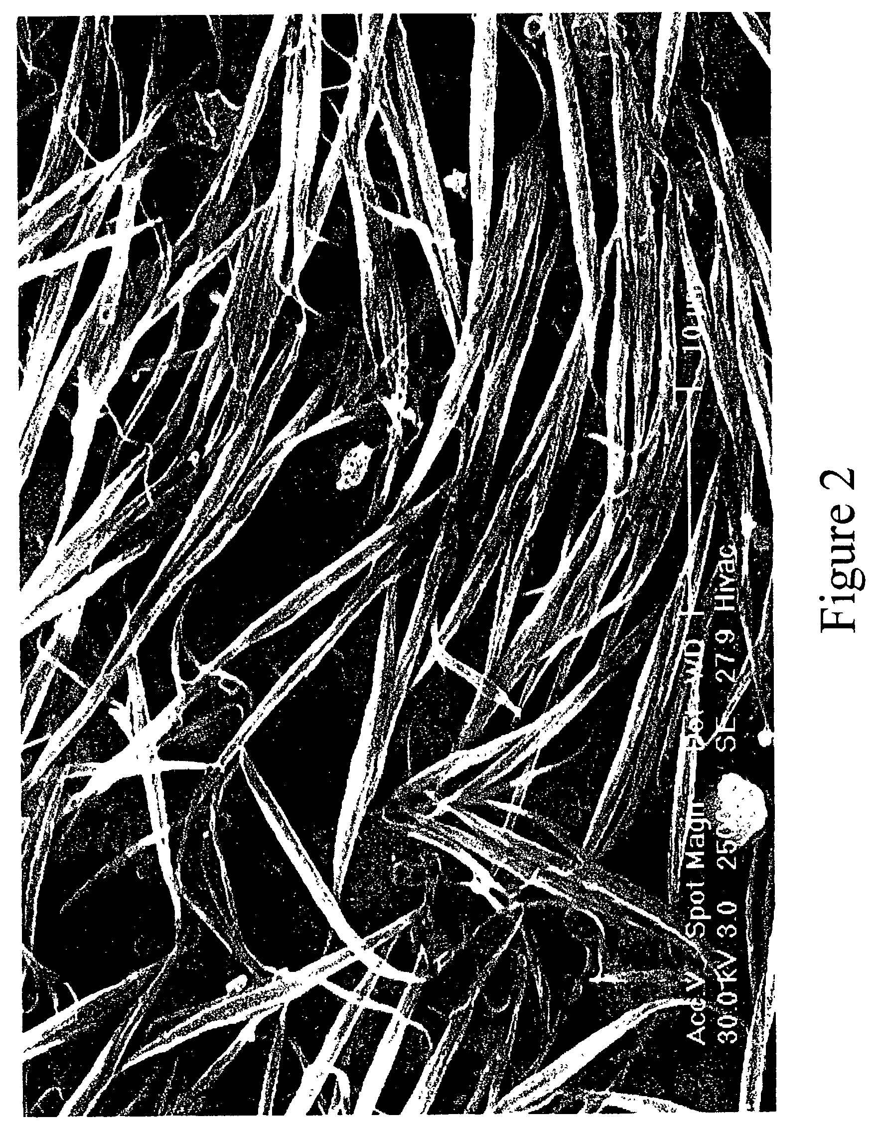 Single-wall carbon nanotube alewives, process for making, and compositions thereof