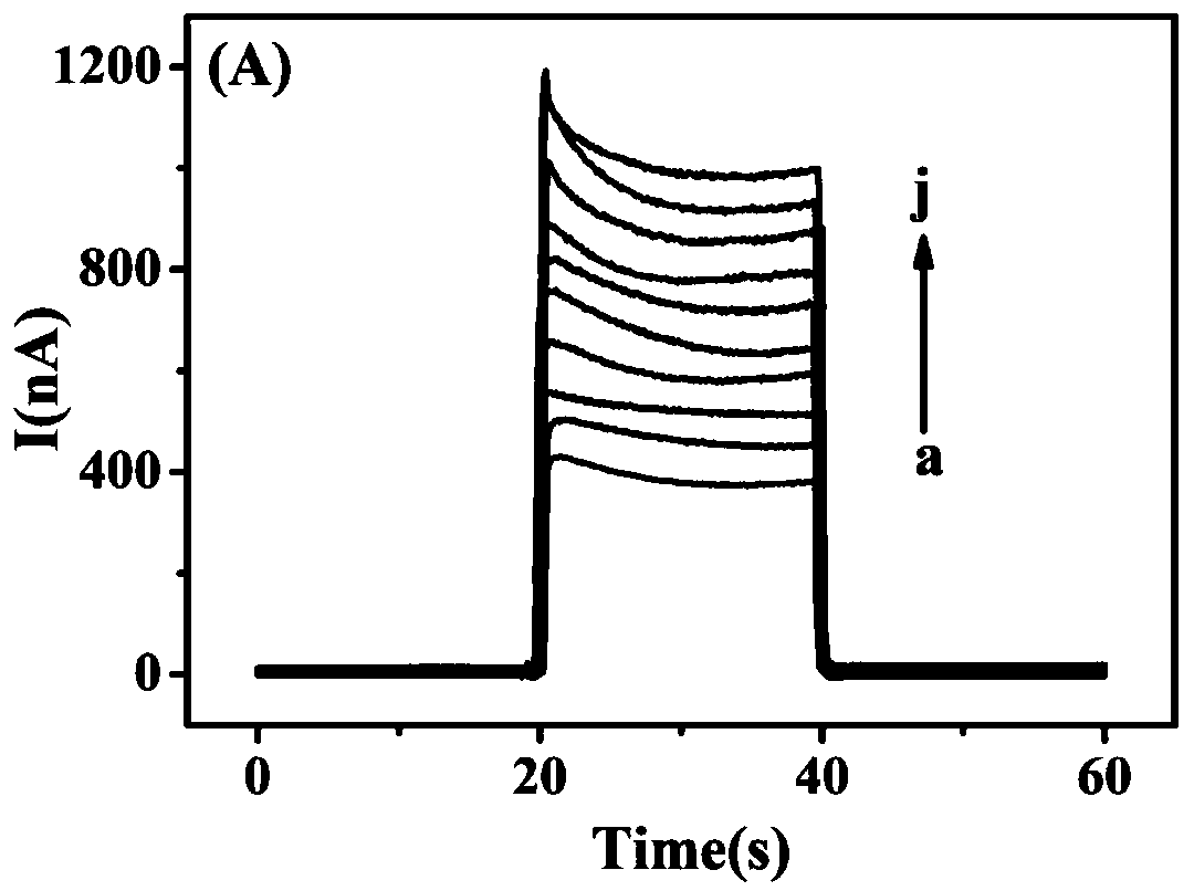 Tungsten sulfide-black titanium dioxide heterojunction-based method for detecting 5fC via photoelectrochemical analysis