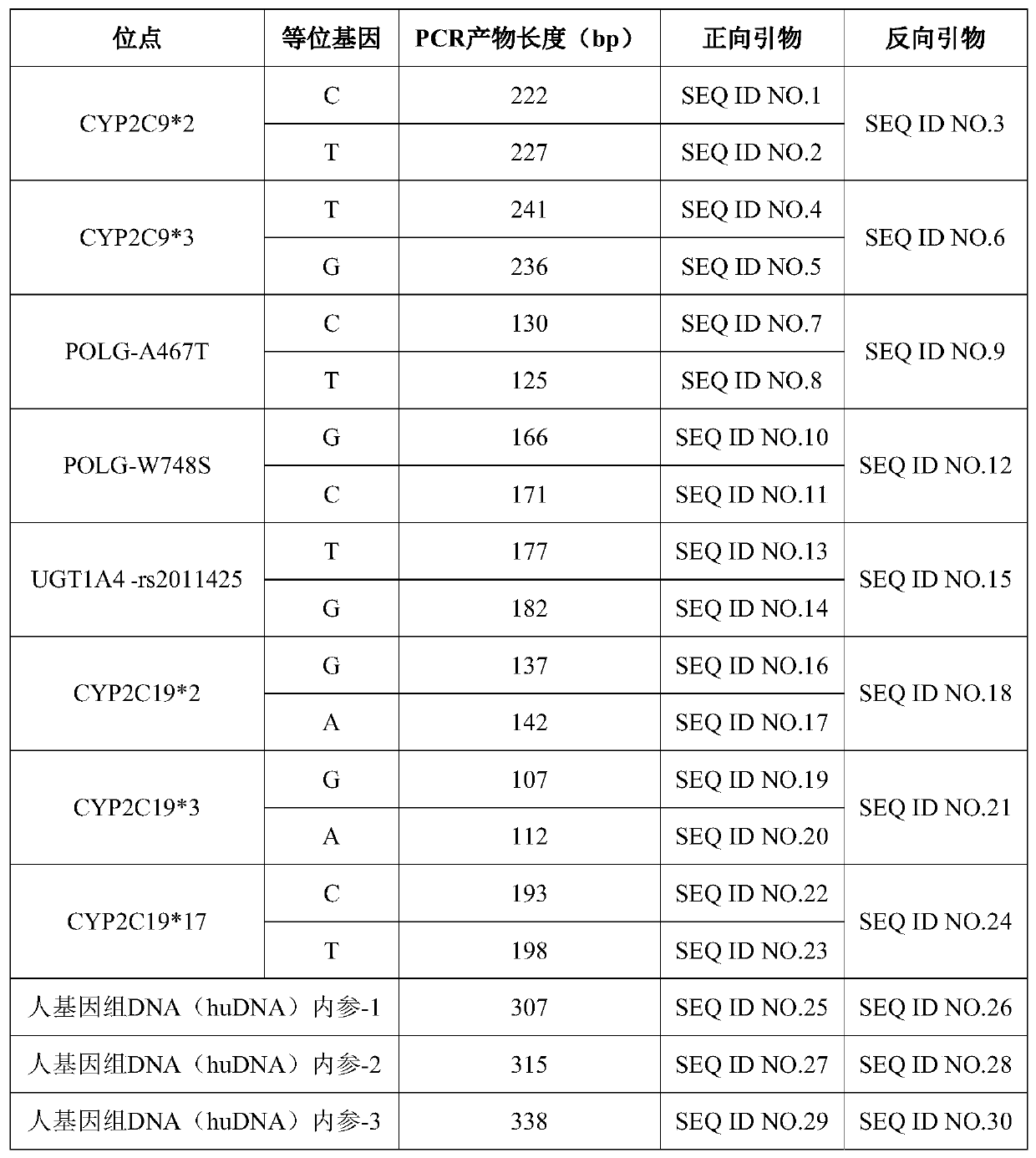 Multi-gene detection kit for anti-epileptic drug medication guidance and use method thereof