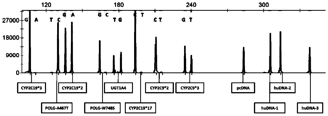 Multi-gene detection kit for anti-epileptic drug medication guidance and use method thereof