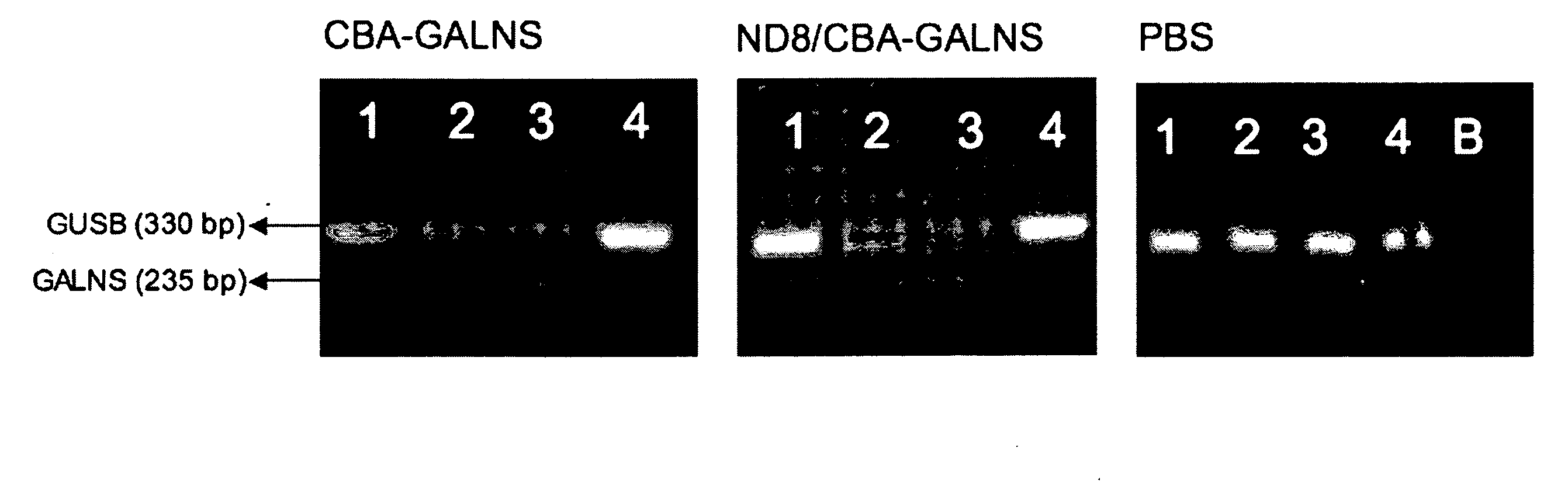 Delivery of therapeutic agents to the bone