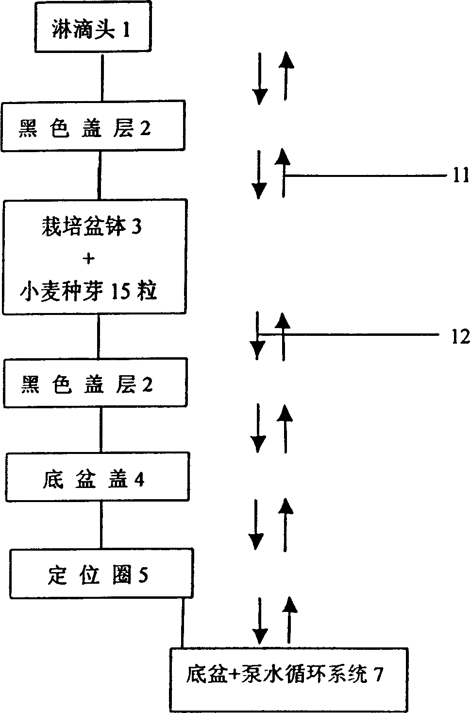 Method for enhancing wheat ammonium nitrogen-resistant ability in root system environment by LED