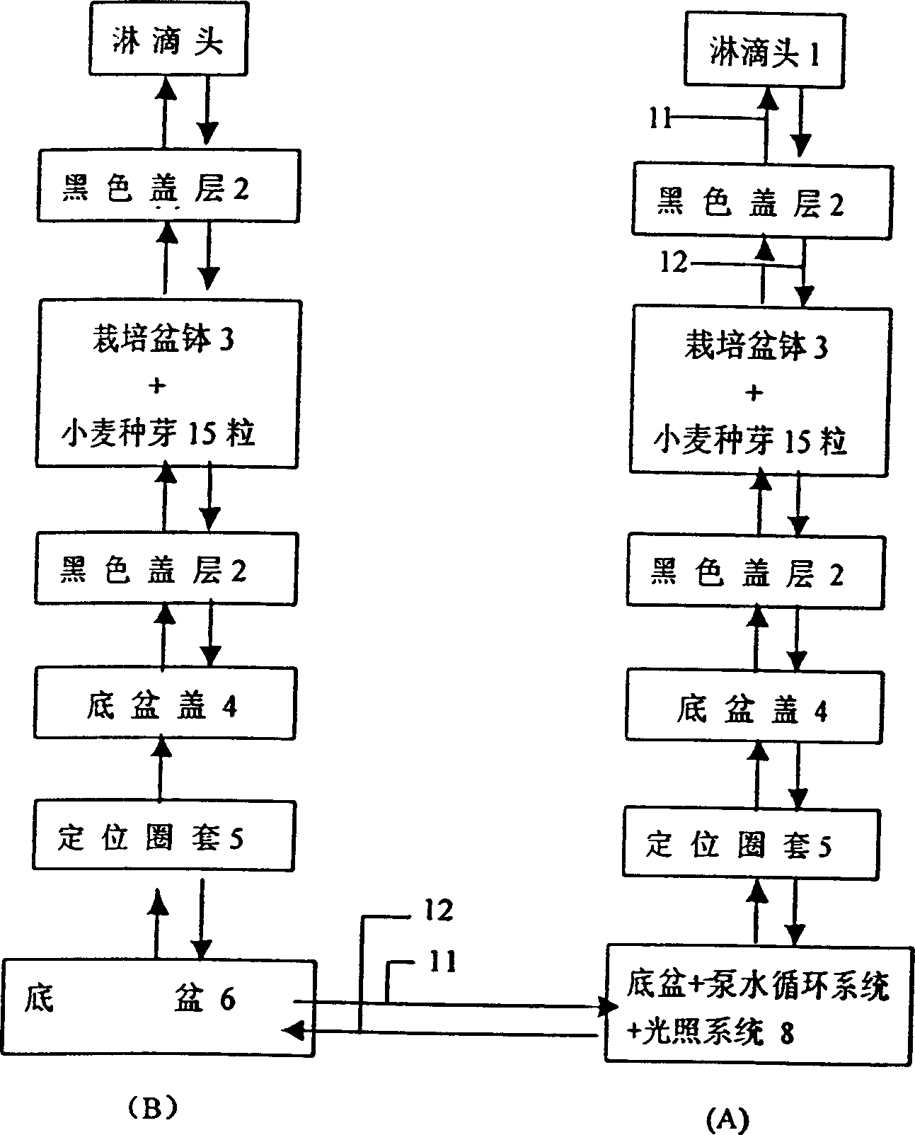 Method for enhancing wheat ammonium nitrogen-resistant ability in root system environment by LED