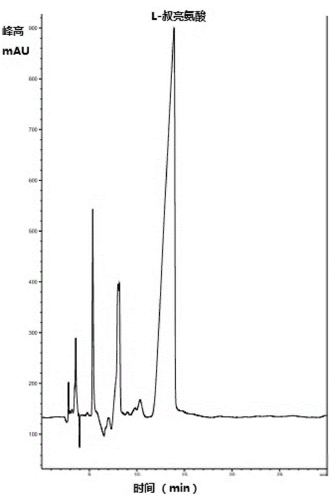 Method for preparing L-tertiary leucine based on biological brick tandem double enzymes