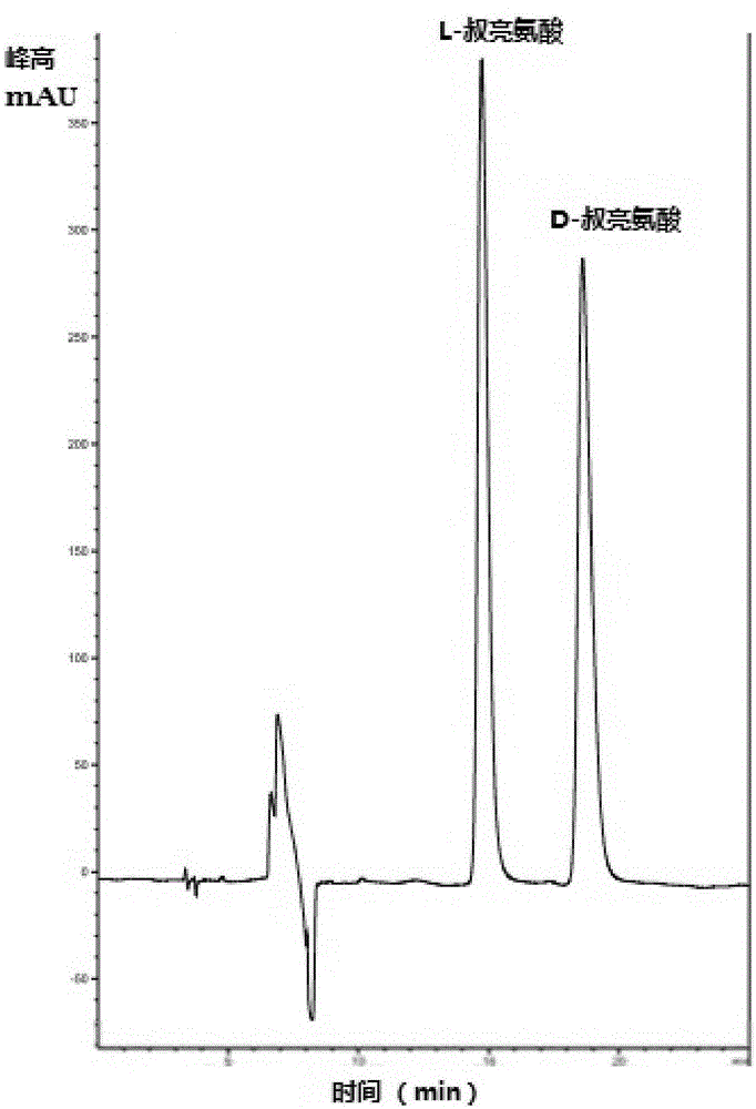 Method for preparing L-tertiary leucine based on biological brick tandem double enzymes