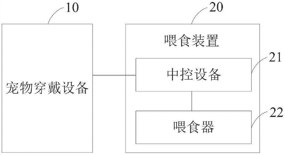 Pet feeding method and system