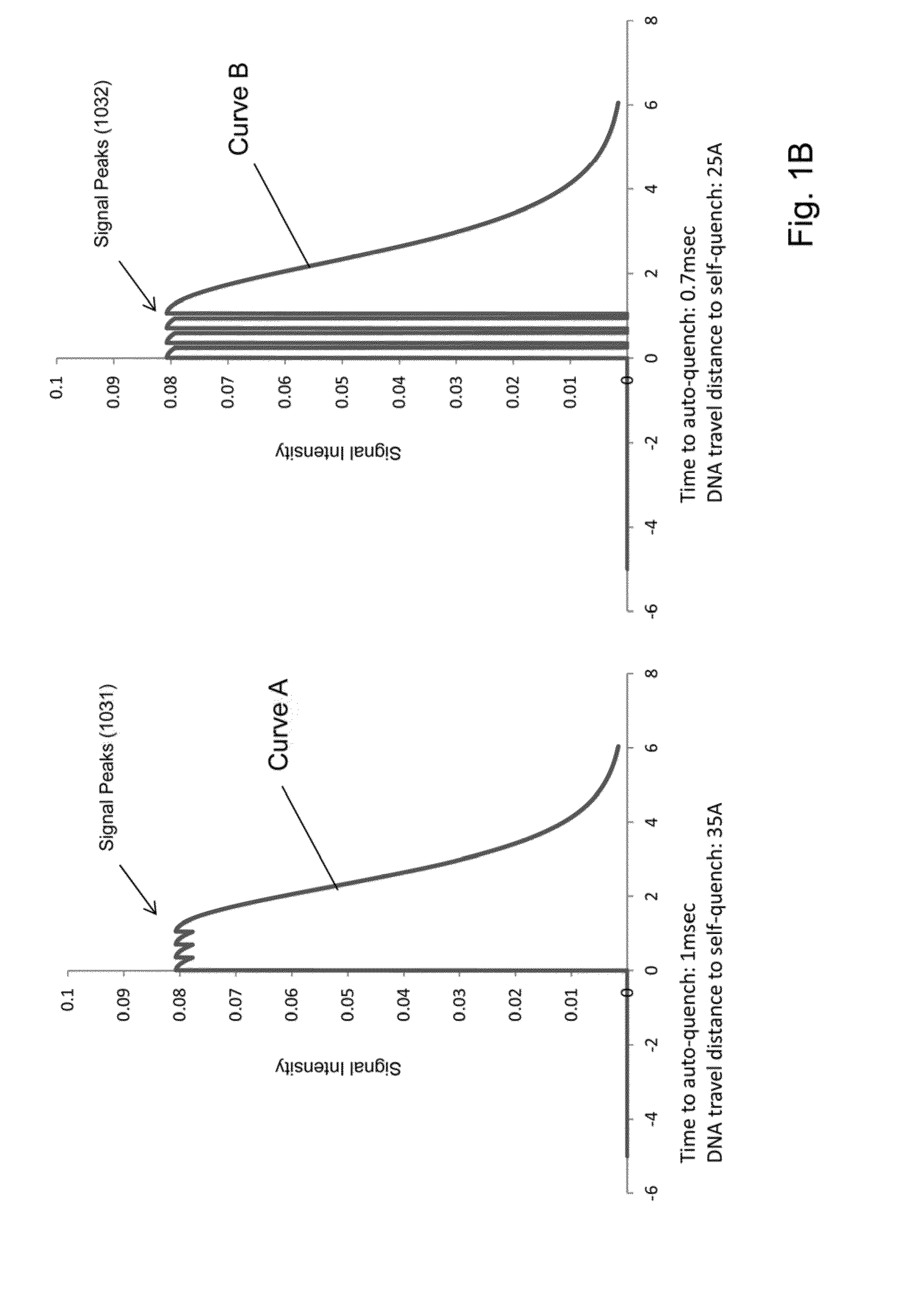 Nanopore-based polymer analysis with mutally-quenching fluorescent labels