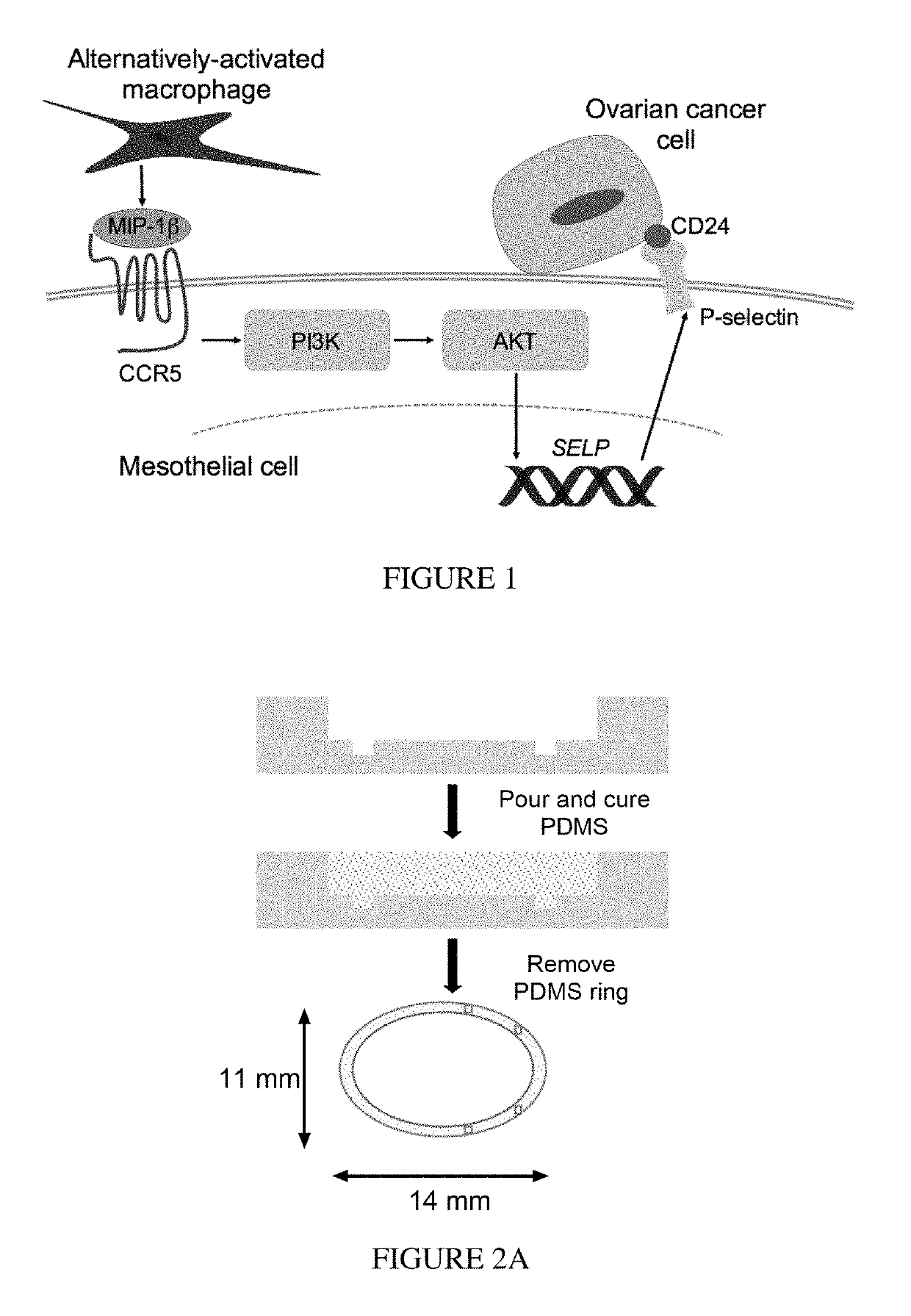 Methods of inhibiting metastasis in cancer