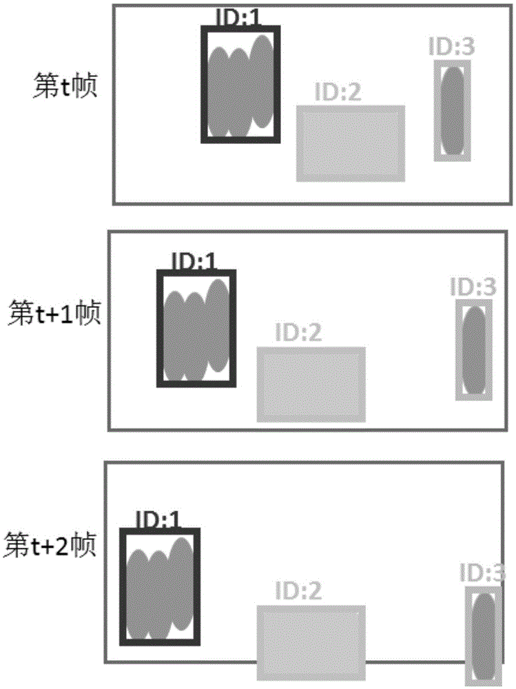 Video processing method and apparatus