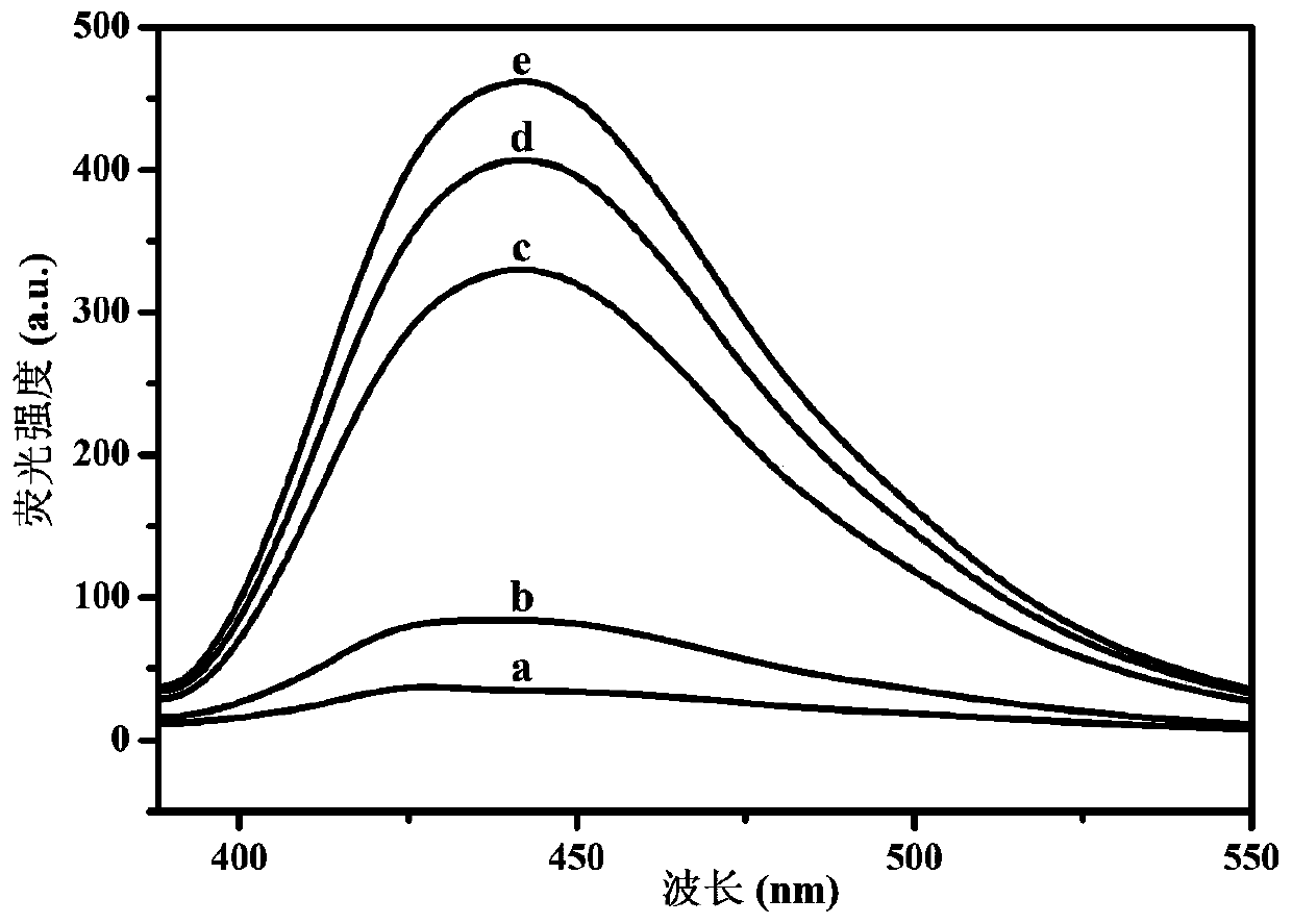 Sensor based on hybridization chain reaction and ribozyme and carcino-embryonic antigen detection method