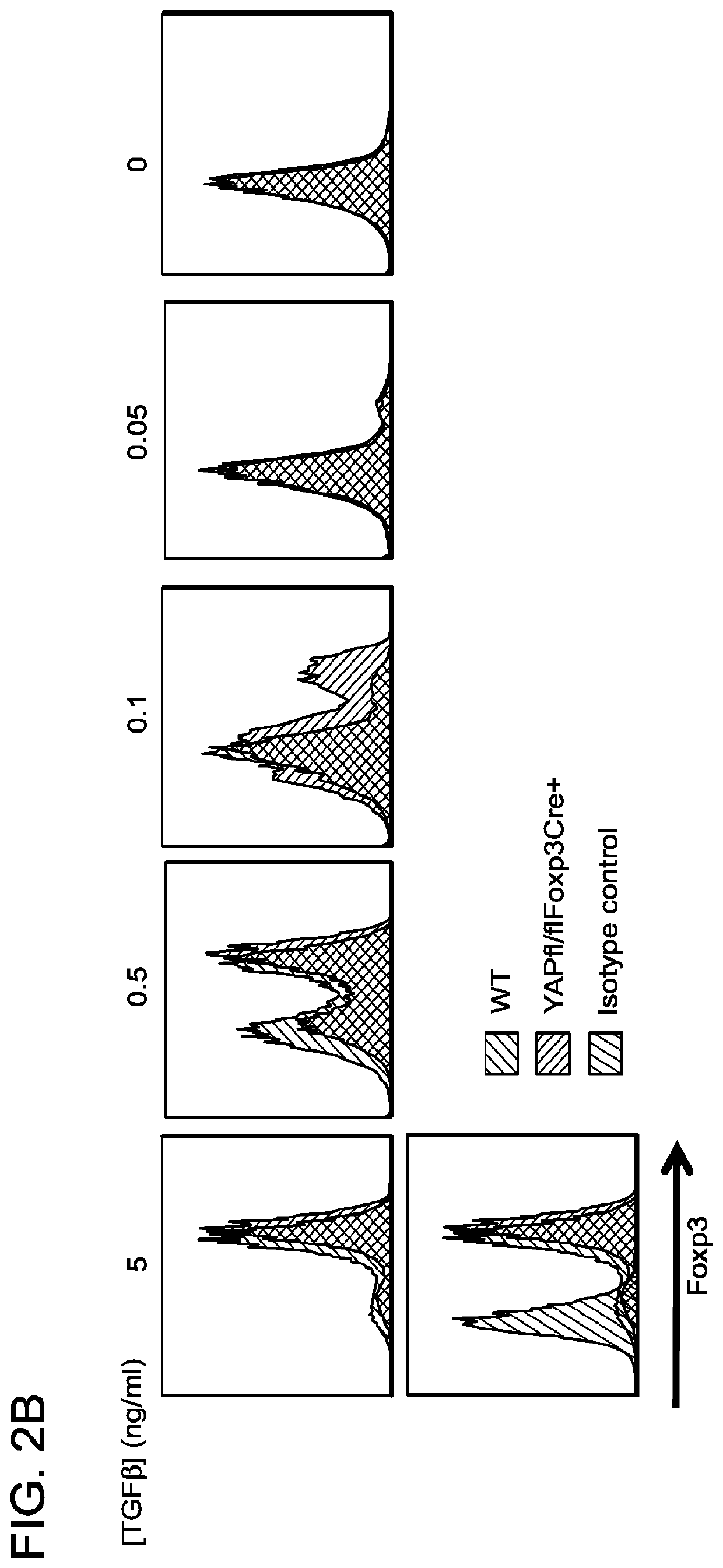 Compositions and methods for targeting activin signaling to treat cancer