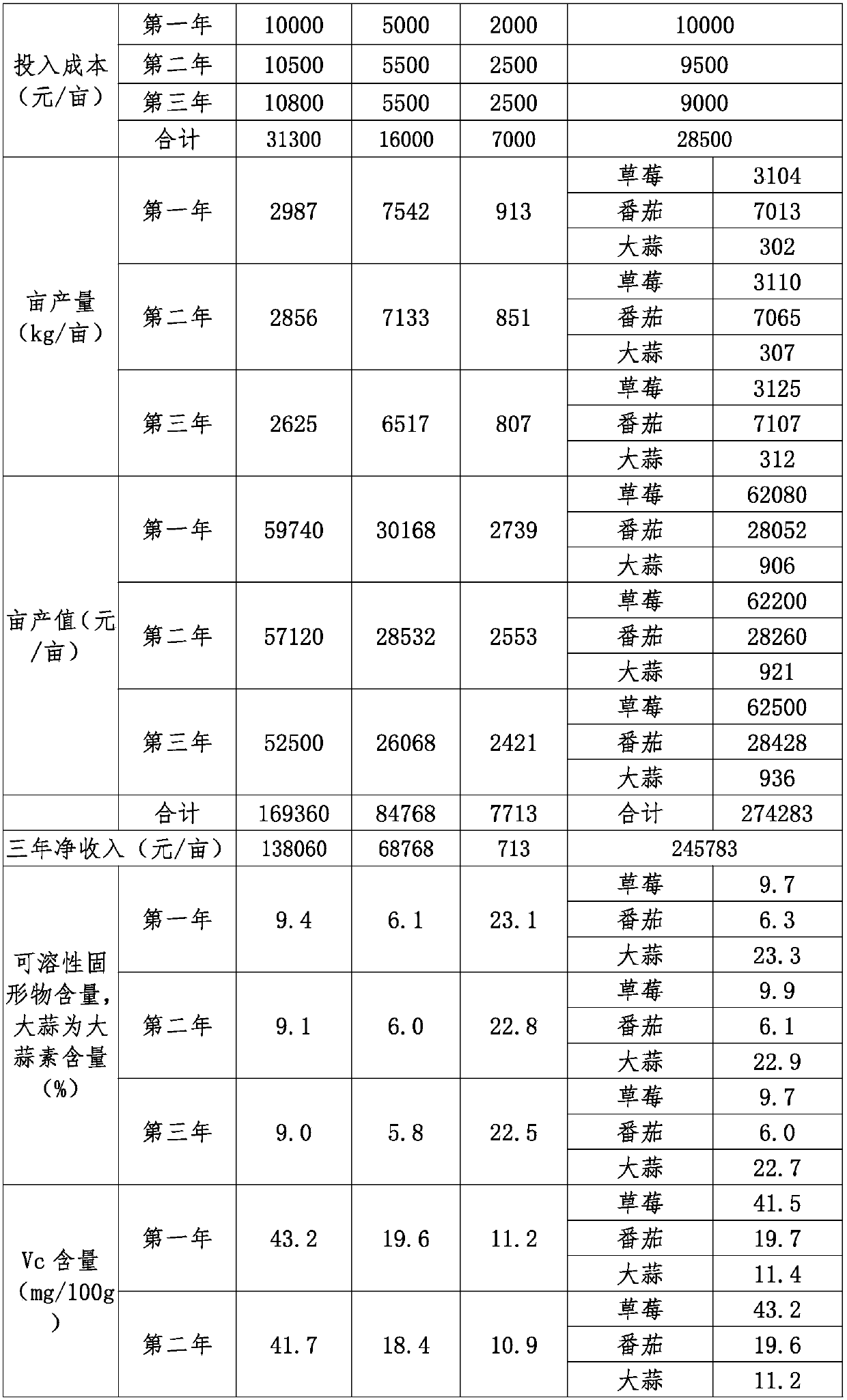 Strawberry, tomato and garlic intercropping planting method suitable for integrated management of water and fertilizer