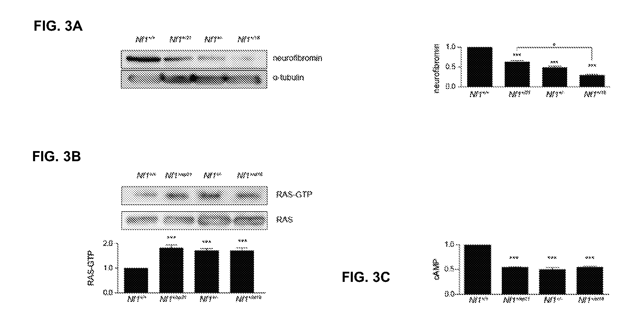 Neurofibromin/dopamine signaling as a biomarker for cognitive and behavioral problems in children with neurofibromatosis type 1 (NF1)