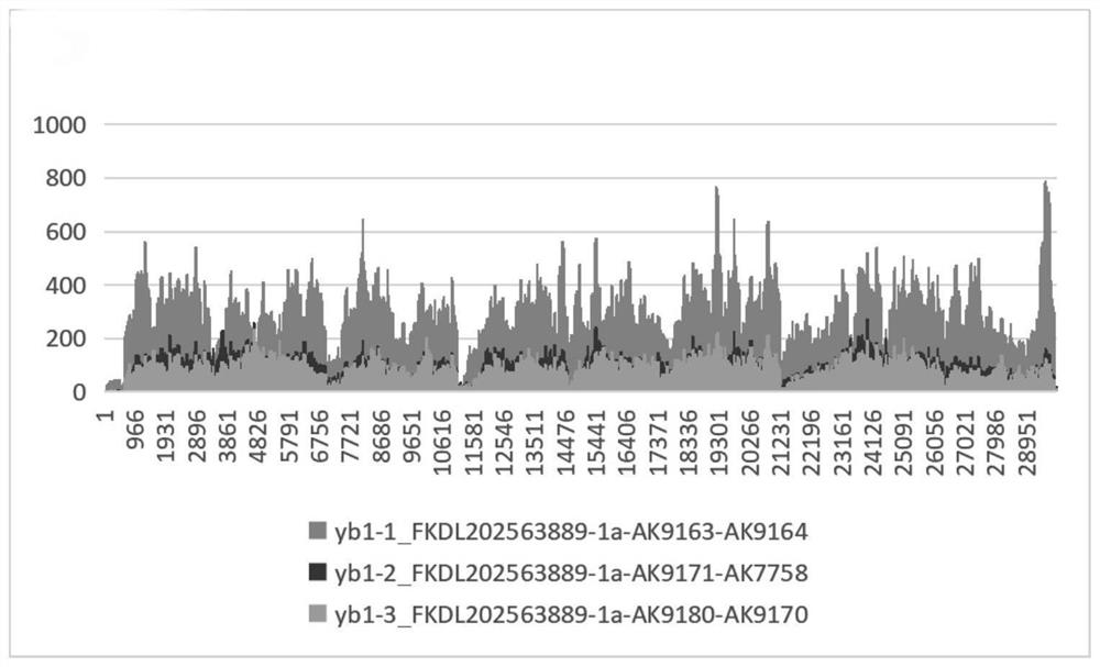 Method for constructing library for full-length genome sequencing of novel coronavirus SARS-CoV-2