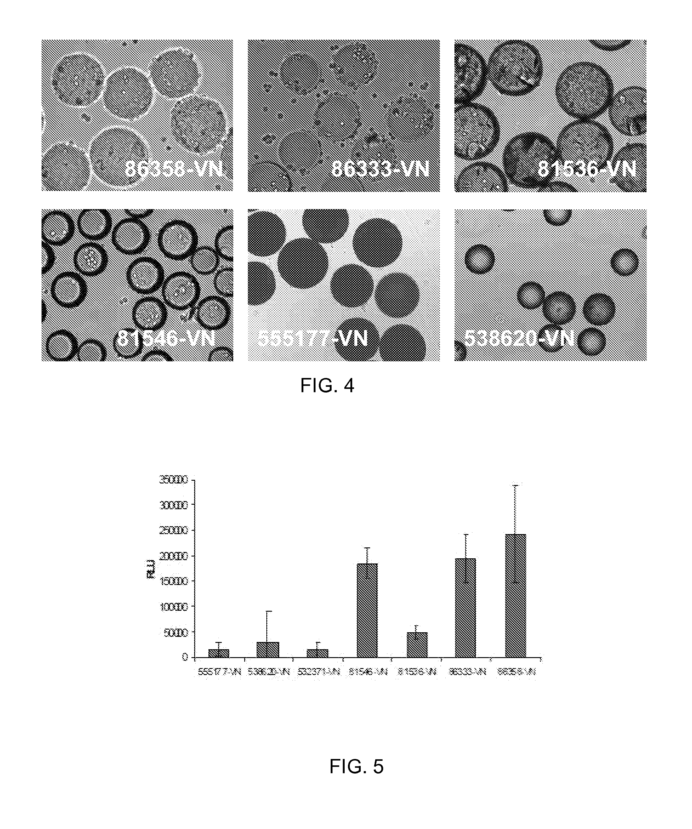 High Surface Area Substrate for Cell Culture