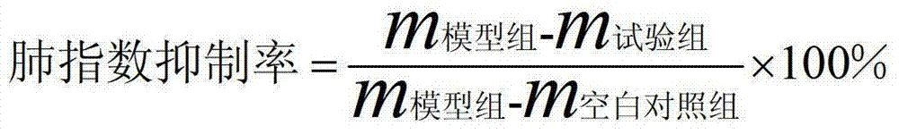 Composition for preventing and treating influenza, preparation method and application thereof