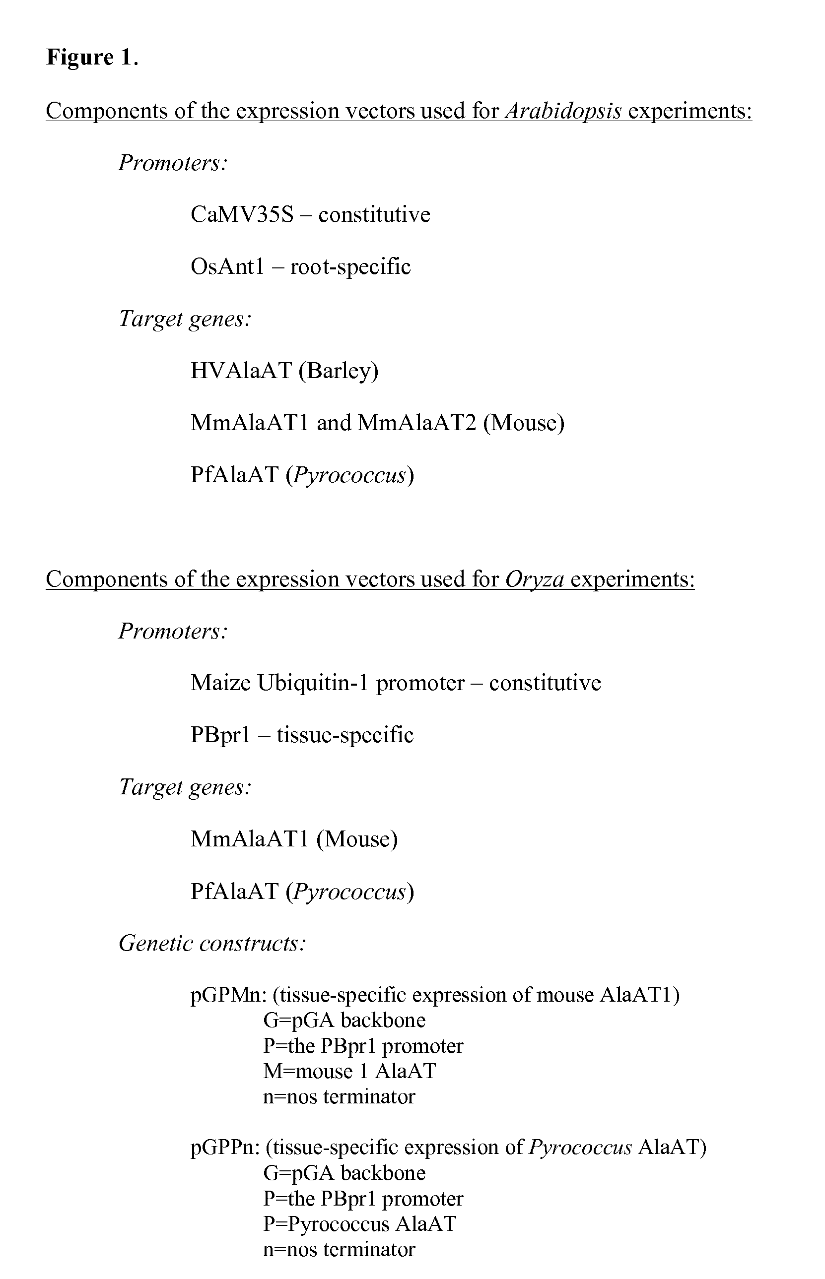 Plants having enhanced nitrogen use efficiency and methods of producing same