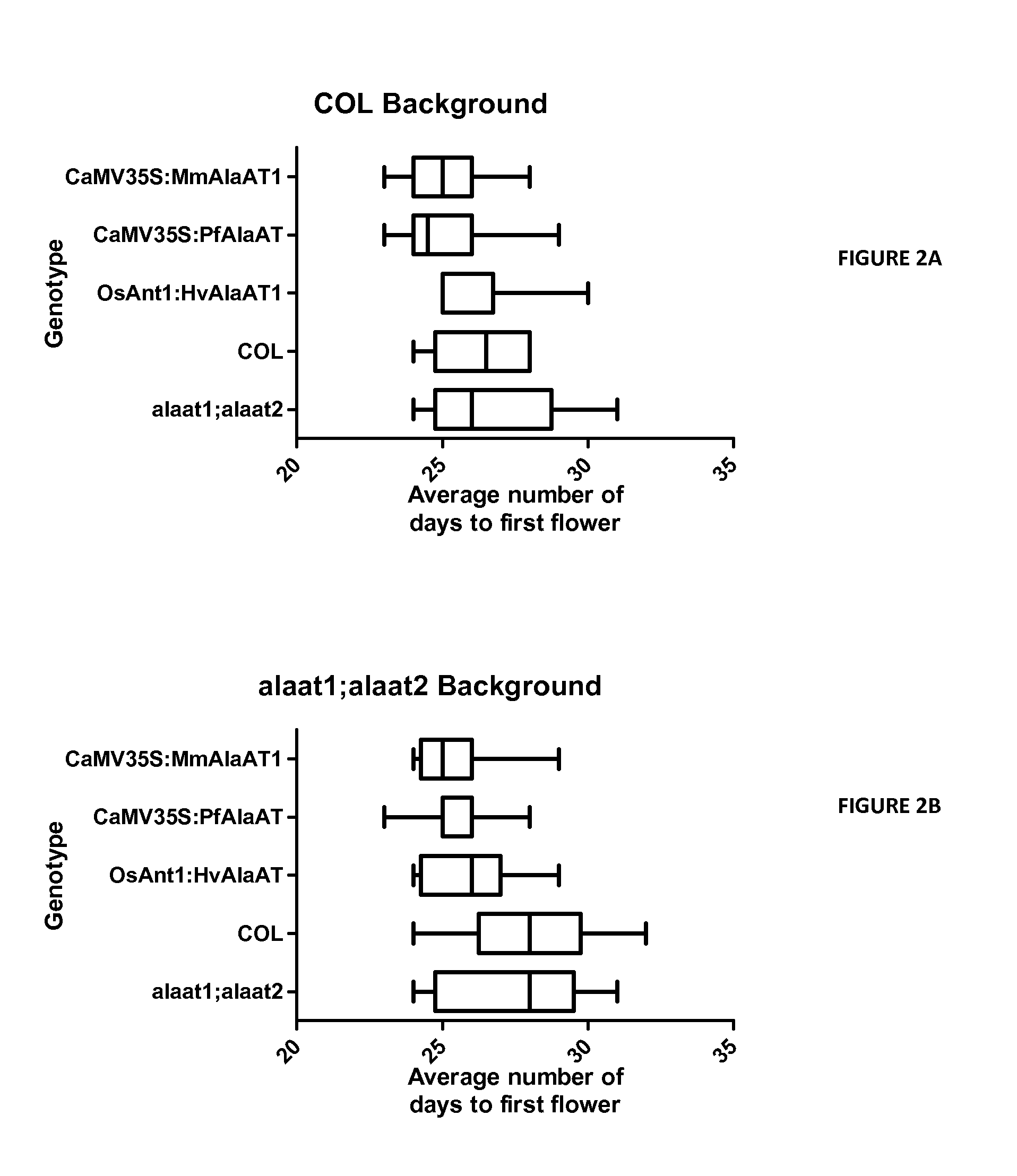 Plants having enhanced nitrogen use efficiency and methods of producing same