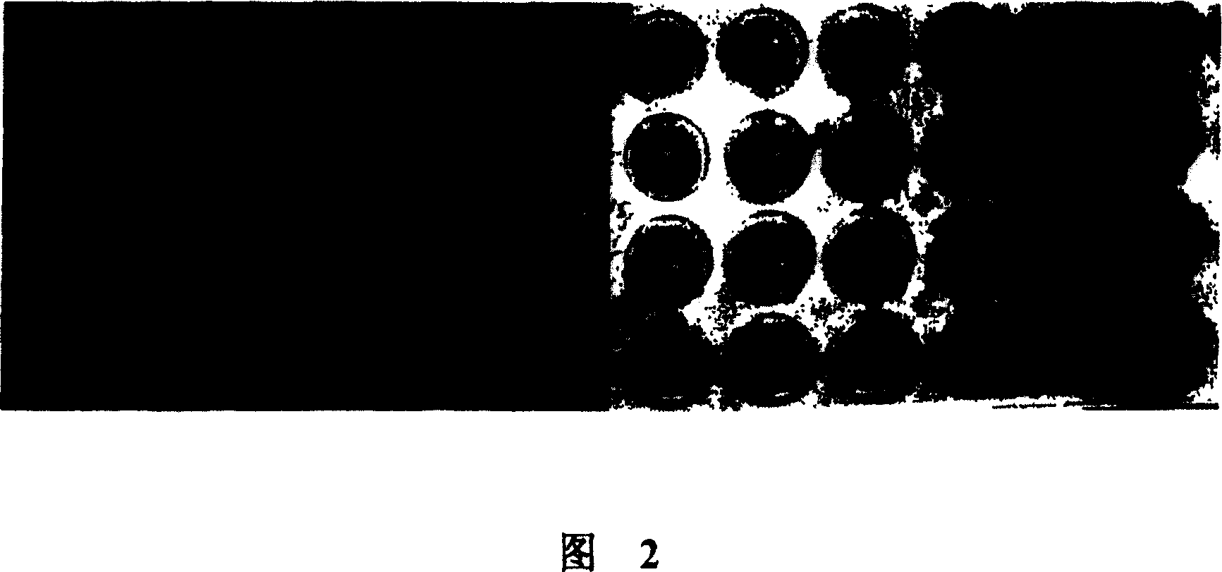 Application of indole-2,3-diketone in preparing medication for antivirus or immunopotenfiator