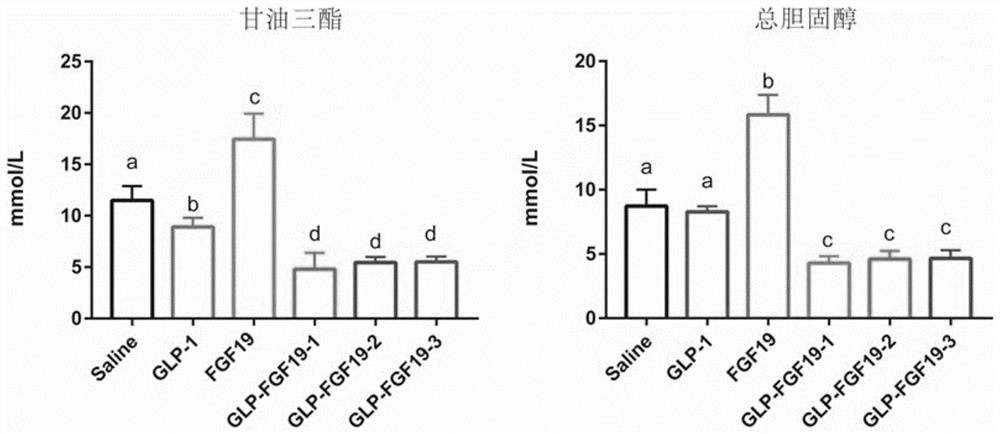 Preparation method and application of a dual-target fusion protein