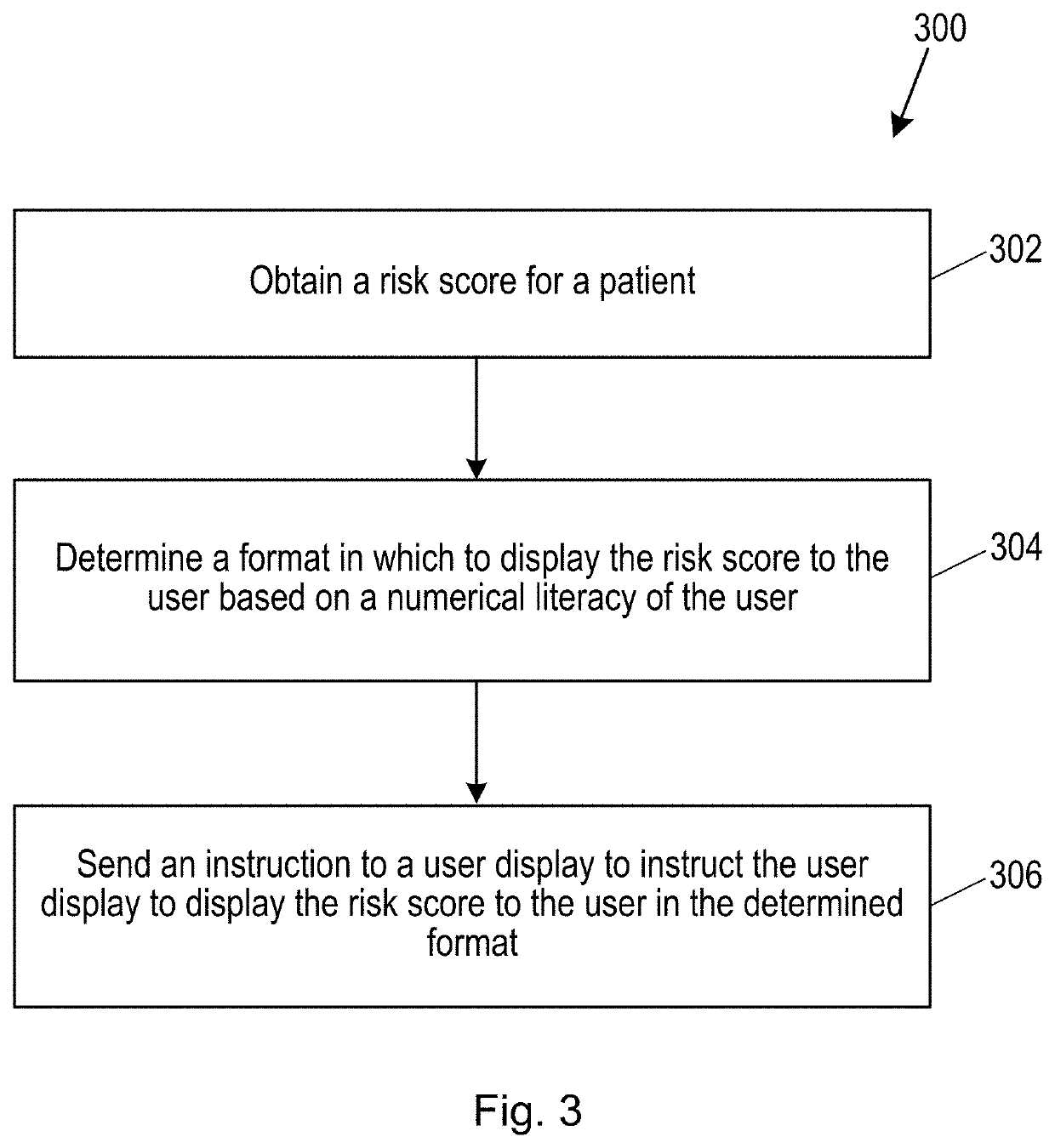 Displaying a risk score