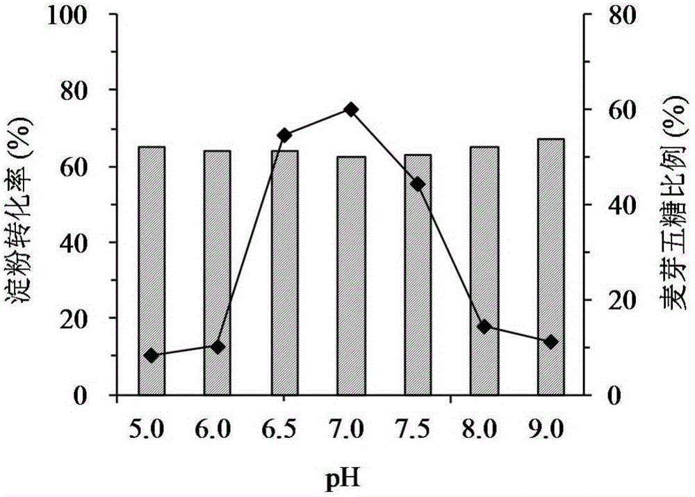 Genetically engineered bacterium for producing linear malt oligosaccharide generating enzyme and application of genetically engineered bacterium