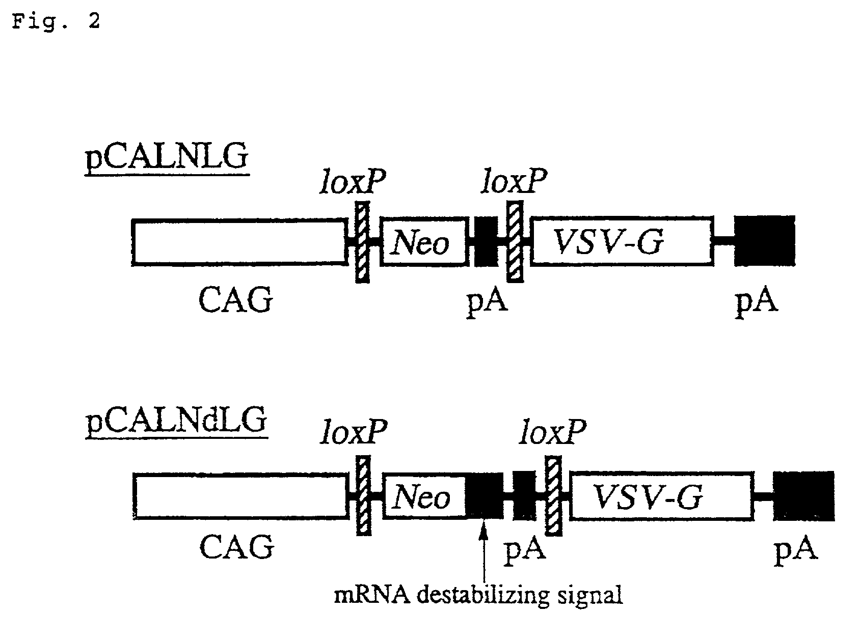 Process for preparing retrovirus vector for gene therapy