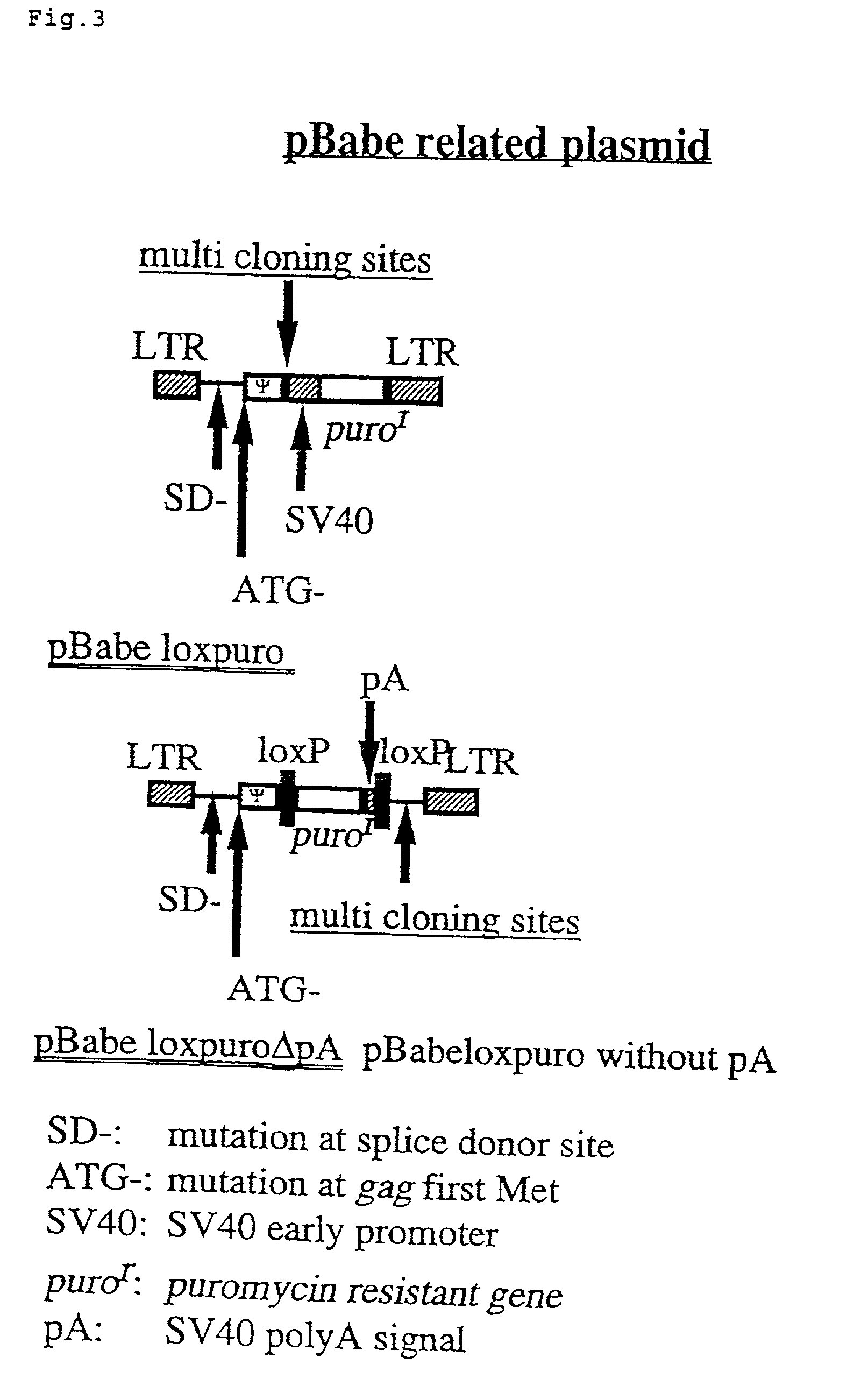 Process for preparing retrovirus vector for gene therapy