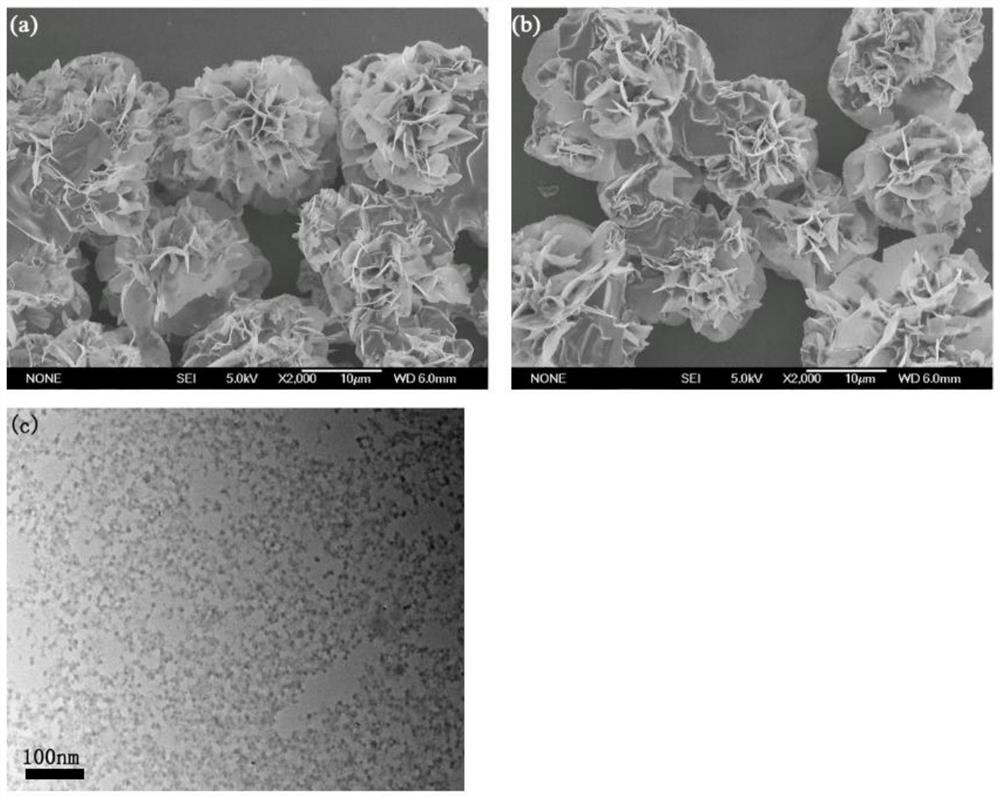 A laccase-nanoflower-γ-fe  <sub>2</sub> o  <sub>3</sub> Copper alginate gel beads and preparation method and use thereof