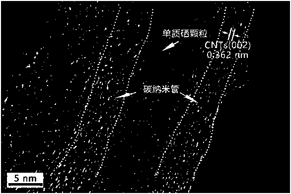 Carbon nanotube limited range selenium composite anode material and preparation method thereof