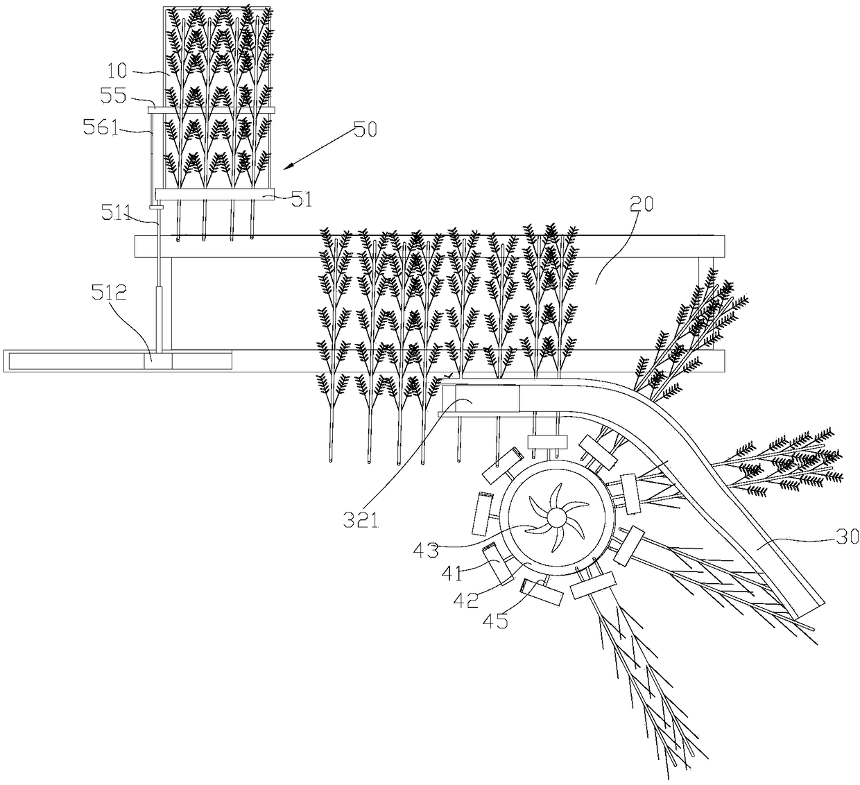 Forage feeding system