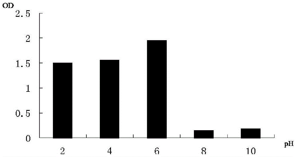 Golden Orange II Degrading Bacteria l-15 and the Bacteria Produced by It