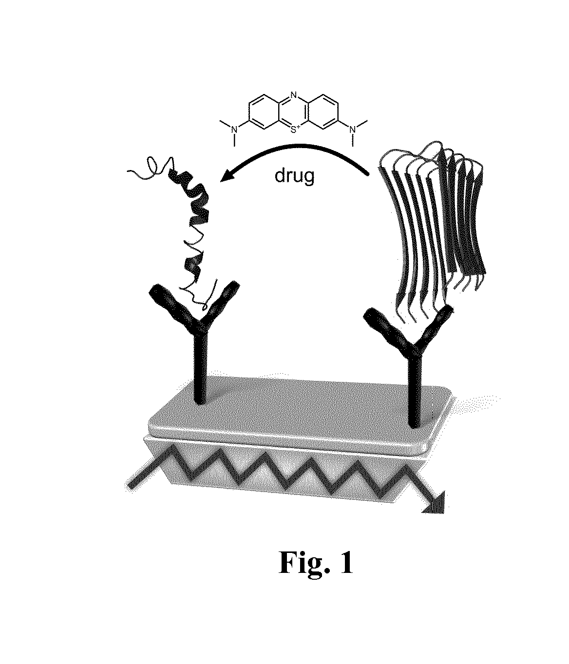 Method for the preselection of drugs for protein misfolding diseases