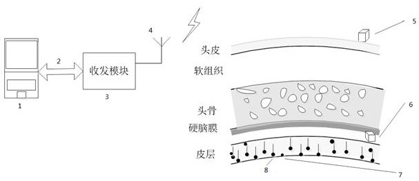 A wireless deep neural interface system