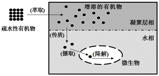 Method for extracting microbial degradation hydrophobic organic compound from cloud point system