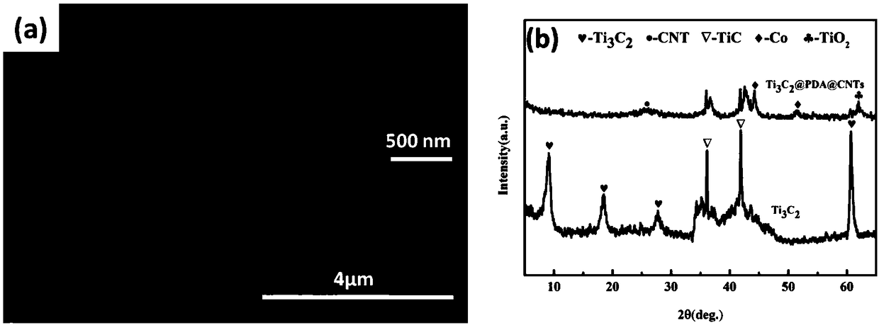 A kind of polydopamine as the transition layer titanium carbide in-situ growth cnts three-dimensional composite material and its preparation method