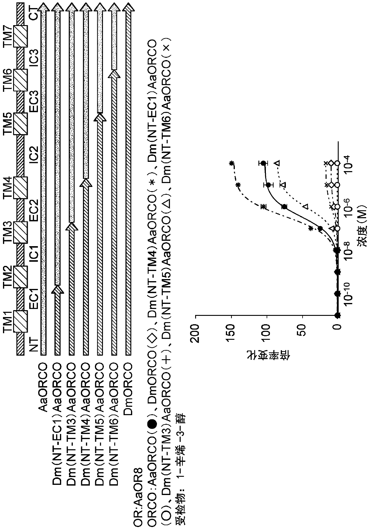 Odorant receptor co-receptor