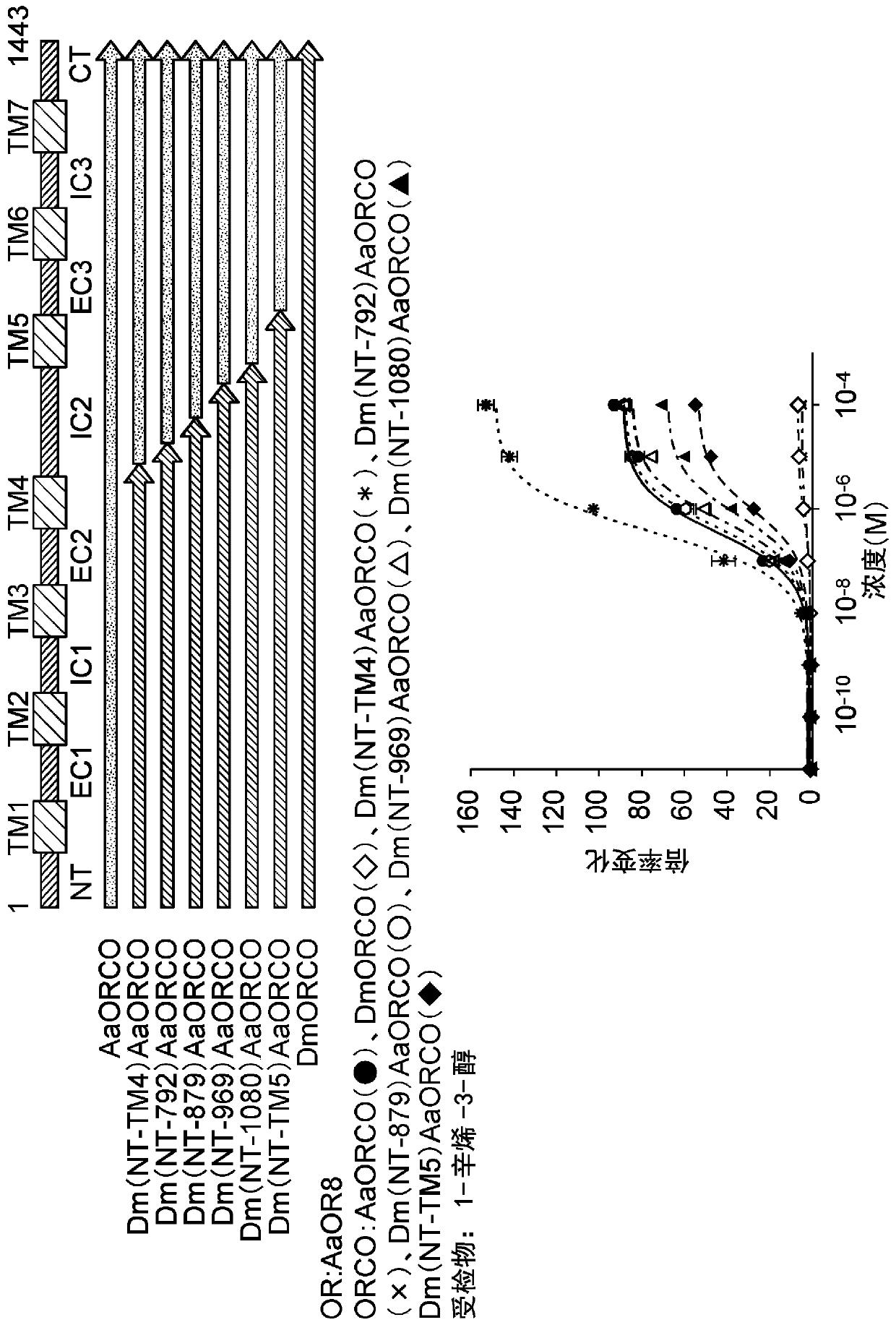 Odorant receptor co-receptor