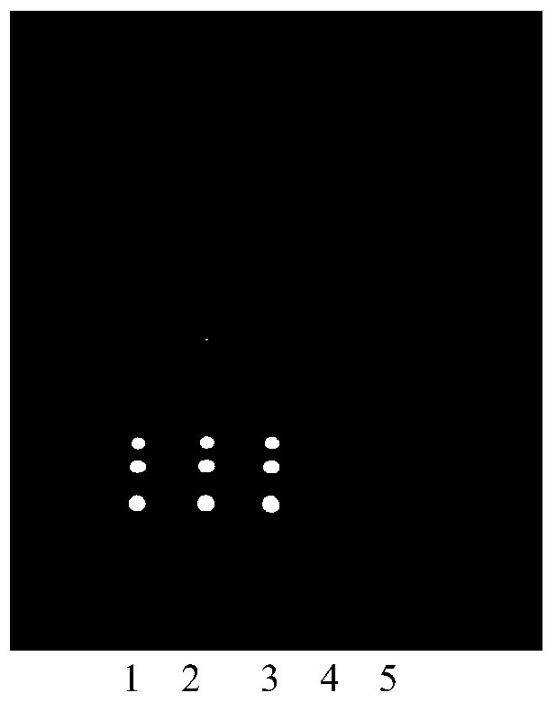 A detection method of traditional Chinese medicine composition for treating soreness of waist and knees and sciatica