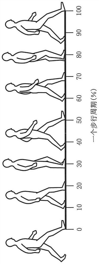 Sarcopenia evaluation method and evaluation device, and storage medium